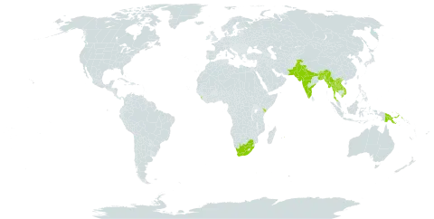 Vigna vexillata var. vexillata world distribution map, present in Bangladesh, Bhutan, India, Kenya, Lao People's Democratic Republic, Sri Lanka, Myanmar, Mauritius, Nepal, Pakistan, Papua New Guinea, Thailand, Viet Nam, and South Africa