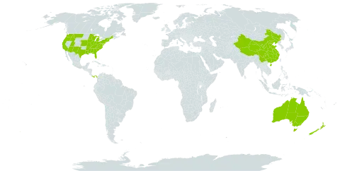 Vinca world distribution map, present in Australia, China, New Zealand, Panama, and United States of America