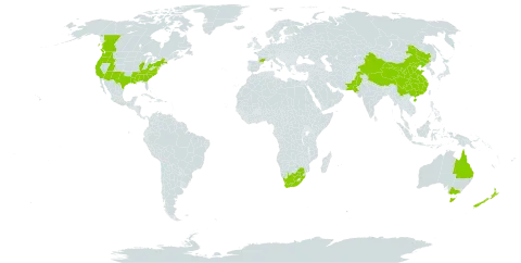 Vinca major world distribution map, present in Australia, Canada, China, France, New Zealand, Pakistan, United States of America, and South Africa