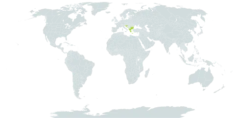 Vincetoxicum huteri world distribution map, present in Albania, Bulgaria, Bosnia and Herzegovina, Greece, Croatia, North Macedonia, and Serbia