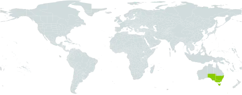 Viola cleistogamoides world distribution map, present in Australia