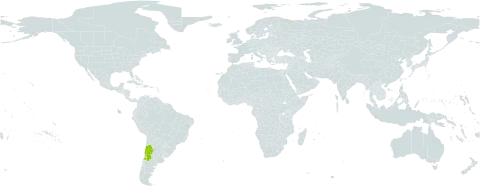 Viola montagnei world distribution map, present in Argentina and Chile