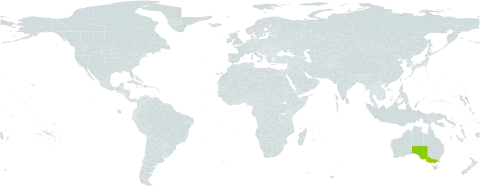 Viola sieberiana world distribution map, present in Australia