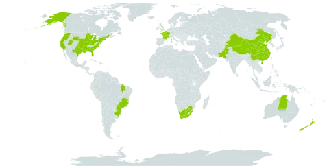 Viola tricolor world distribution map, present in American Samoa, Australia, Brazil, China, France, United Kingdom of Great Britain and Northern Ireland, New Zealand, Pakistan, Philippines, United States of America, and South Africa