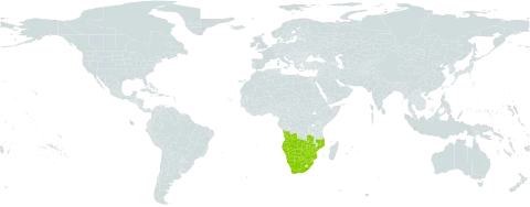 Wahlenbergia banksiana world distribution map, present in Angola, Botswana, Cabo Verde, Mozambique, Namibia, eSwatini, South Africa, Zambia, and Zimbabwe