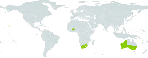 Watsonia borbonica world distribution map, present in Australia, Burkina Faso, Rwanda, United States of America, and South Africa