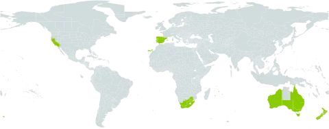 Watsonia meriana world distribution map, present in Australia, Spain, Mauritius, New Zealand, Portugal, Réunion, United States of America, and South Africa
