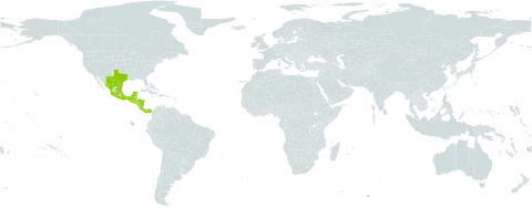 Wedelia acapulcensis world distribution map, present in Belize, Costa Rica, Guatemala, Honduras, Mexico, Nicaragua, Panama, Puerto Rico, El Salvador, and United States of America