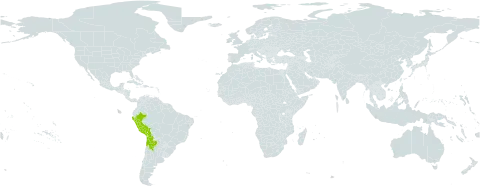 Werneria heteroloba world distribution map, present in Argentina, Bolivia (Plurinational State of), Chile, and Peru