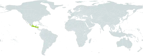 Wimmeria pubescens world distribution map, present in Guatemala, Honduras, and Mexico