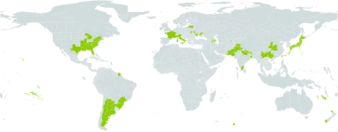 Wisteria sinensis world distribution map, present in Argentina, Azerbaijan, Brazil, China, France, Georgia, India, Italy, Japan, Lithuania, Moldova (Republic of), Mauritius, Nepal, New Zealand, Pakistan, Réunion, Russian Federation, Tajikistan, Taiwan, Province of China, Ukraine, United States of America, and Uzbekistan
