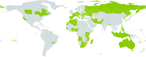 Wolffia arrhiza world distribution map, present in Angola, Australia, Austria, Benin, Burkina Faso, Bangladesh, Bulgaria, Brazil, Botswana, Canada, Czech Republic, Germany, Algeria, Spain, France, Ghana, Guinea-Bissau, Greece, Hungary, Indonesia, Iran (Islamic Republic of), Italy, Kenya, Morocco, Madagascar, Mozambique, Nigeria, Netherlands, Pakistan, Philippines, Korea (Democratic People's Republic of), Portugal, Romania, Russian Federation, Rwanda, Senegal, Togo, Tunisia, Taiwan, Province of China, Tanzania, United Republic of, Uganda, Ukraine, United States of America, and South Africa