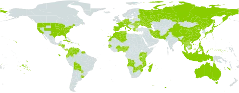 Wolffia world distribution map, present in Angola, Åland Islands, Australia, Austria, Benin, Burkina Faso, Bangladesh, Bulgaria, Bolivia (Plurinational State of), Botswana, China, Colombia, Cuba, Czech Republic, Germany, Dominica, Algeria, Ecuador, Spain, France, Micronesia (Federated States of), Georgia, Ghana, Guinea-Bissau, Greece, Guatemala, Honduras, Haiti, Hungary, Indonesia, Iran (Islamic Republic of), Italy, Jamaica, Japan, Kenya, Lao People's Democratic Republic, Morocco, Madagascar, Myanmar, Mozambique, Malaysia, Nigeria, Nicaragua, Netherlands, Nepal, Pakistan, Panama, Philippines, Palau, Puerto Rico, Korea (Democratic People's Republic of), Portugal, Paraguay, Romania, Russian Federation, Rwanda, Senegal, Suriname, Togo, Thailand, Tunisia, Taiwan, Province of China, Tanzania, United Republic of, Uganda, Ukraine, Uruguay, United States of America, Venezuela (Bolivarian Republic of), Viet Nam, and Zimbabwe