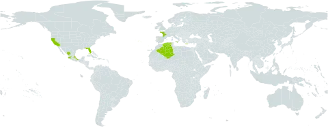Woodwardia radicans world distribution map, present in Algeria, Spain, France, Greece, Italy, Mexico, Portugal, and United States of America