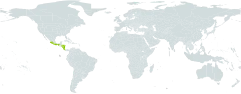 Xylosma horrida world distribution map, present in Costa Rica, Honduras, Mexico, and Nicaragua
