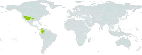 Yucca harrimaniae world distribution map, present in Colombia and United States of America