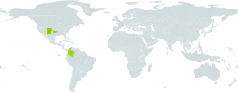 Yucca neomexicana world distribution map, present in Colombia and United States of America