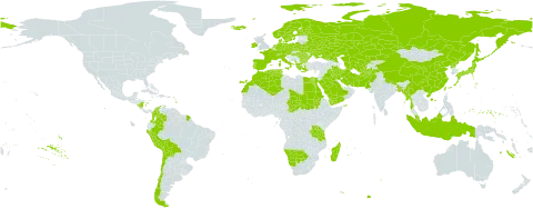 Zannichellia palustris subsp. palustris world distribution map, present in Afghanistan, Åland Islands, Albania, Austria, Bangladesh, Bulgaria, Belarus, Bolivia (Plurinational State of), Botswana, Switzerland, Chile, China, Colombia, Cyprus, Czech Republic, Germany, Denmark, Algeria, Egypt, Spain, Finland, France, Micronesia (Federated States of), Greece, Hungary, Indonesia, Ireland, Iran (Islamic Republic of), Iraq, Iceland, Italy, Japan, Kazakhstan, Morocco, Madagascar, Myanmar, Montenegro, Malaysia, Namibia, Nicaragua, Netherlands, Norway, Nepal, Pakistan, Peru, Palau, Poland, Korea (Democratic People's Republic of), Portugal, Romania, Russian Federation, Saudi Arabia, Sudan, Sweden, Turks and Caicos Islands, Chad, Turkmenistan, Tunisia, Taiwan, Province of China, Tanzania, United Republic of, Ukraine, Uzbekistan, and Yemen