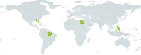 Zea mexicana world distribution map, present in Åland Islands, Brazil, Egypt, Philippines, and United States of America