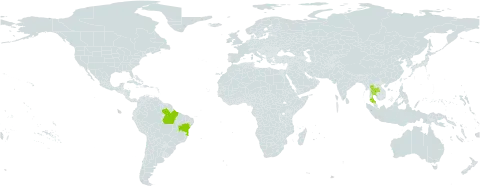 Zingiber spectabile world distribution map, present in Andorra, Brazil, and Thailand