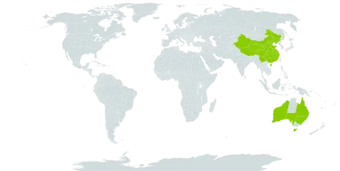 Zingiberaceae world distribution map, present in Australia and China