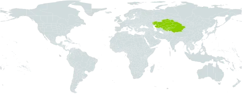 Zosima korovinii world distribution map, present in China, Kazakhstan, Kyrgyzstan, Tajikistan, and Uzbekistan
