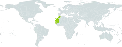 Zygophyllum fontanesii world distribution map, present in Cabo Verde, Spain, Sri Lanka, Morocco, Mauritania, and Senegal